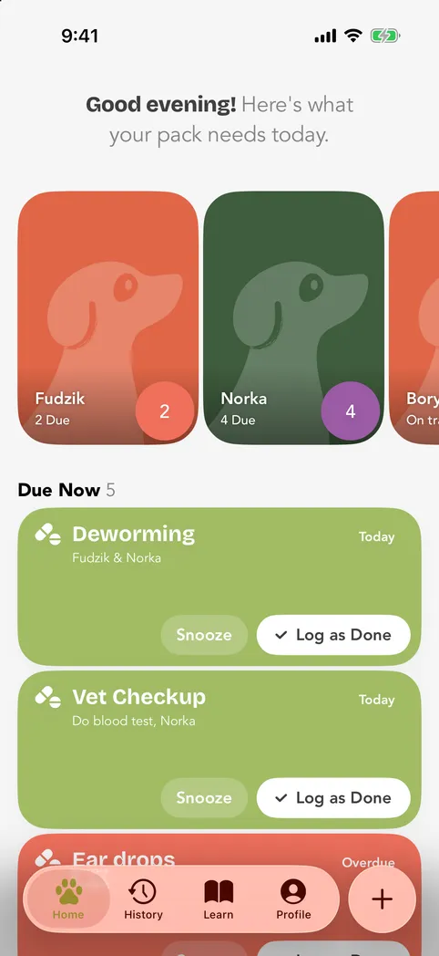 Hau app home screen with today’s care tasks for a Shiba Inu